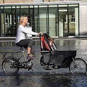 Best 5 Electric Cargo Delivery Bikes/Bicycles In 2022 Reviews