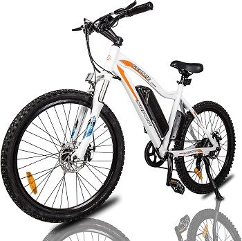 ECOTRIC Mountain EBike