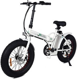 ECOTRIC New Fat Tire Folding Electric Bike