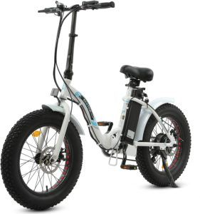 Ecotric New Fat Tire Folding Electric Bike