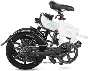 FIIDO D2S Folding EBike review