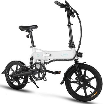 FIIDO D2S Folding EBike