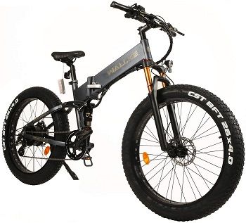 W WALLKE X3 Por Electric Bicycle