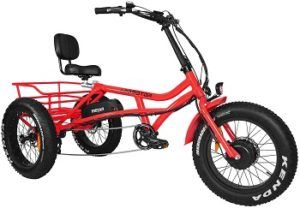 Addmotor Motan Electric Tricycle review