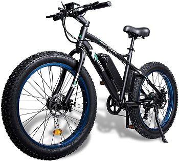 ECOTRIC Fat Tire Electric Bike