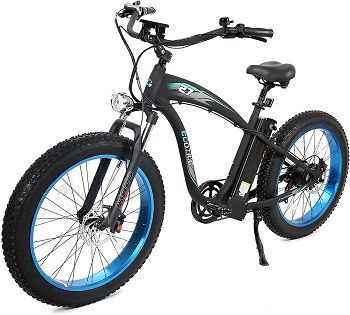 ECOTRIC Powerful Electric Mountain Bicycle