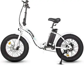 Ecotric Folding Electric Bike